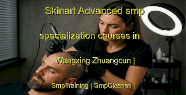 Skinart Advanced smp specialization courses in Wangxing Zhuangcun | SmpTraining | SmpClasses | SkinartTraining-China